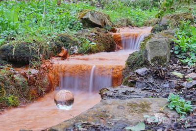 Scenic view of waterfall in forest