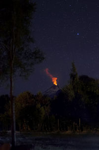 Trees against sky at night