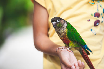 Midsection of girl holding bird