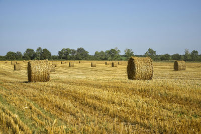 agriculture