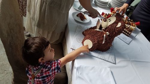 High angle view of cute boy touching teddy bear cake on table