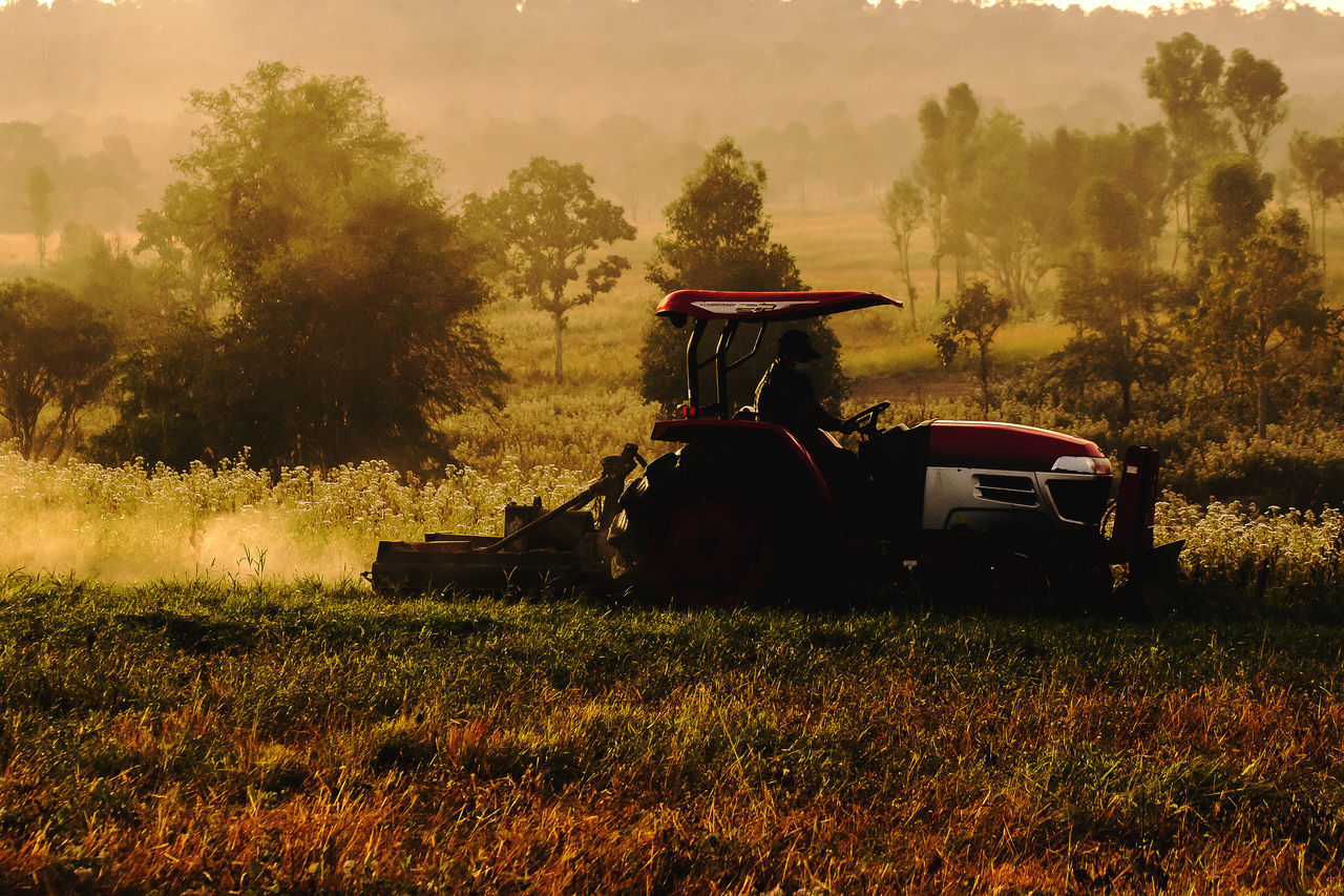 TRACTOR ON FIELD BY TREES