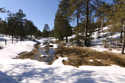 snow