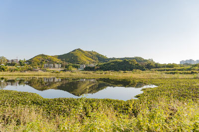 Scenic view of lake by field against clear sky