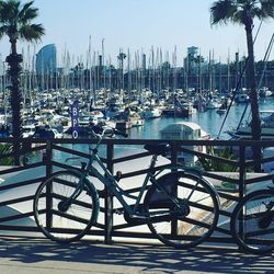 Sailboats moored at harbor