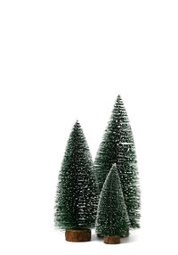 Christmas tree against white background
