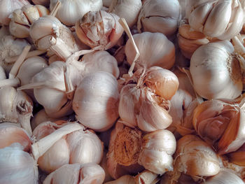 Full frame shot of onions for sale in market