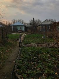 Houses by trees against sky