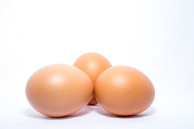 Close-up of eggs against white background