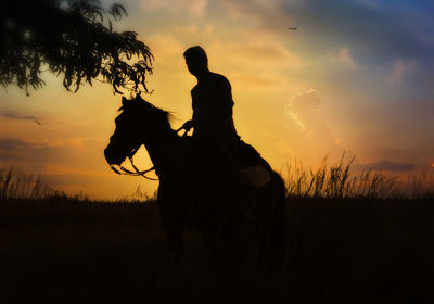 Silhouette person riding horse on field during sunset