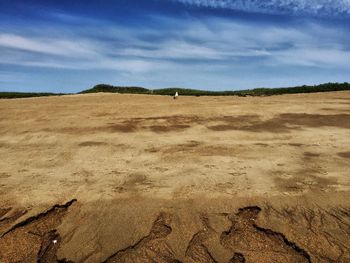 Scenic view of desert