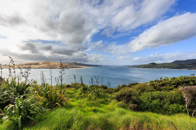 Scenic view of sea against sky