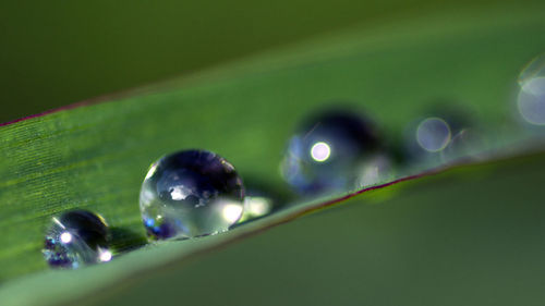 Close-up of bubbles