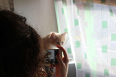 Woman photographing cat at home