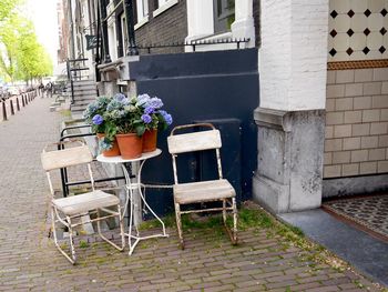 Flowers growing in front of building