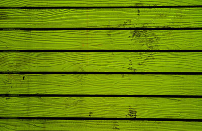 Lime green colored horizontal pattern old wooden fence background