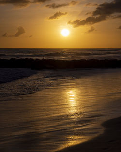 A golden sunset over dover beach, christ church, barbados.
