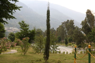 Scenic view of trees and mountains against sky
