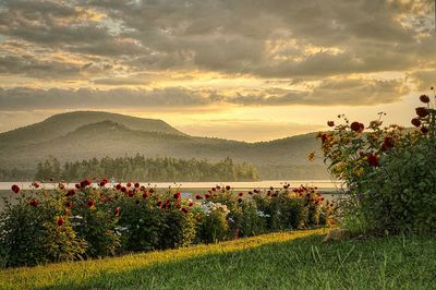 Scenic view of landscape against cloudy sky