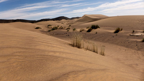 Scenic view of desert against sky