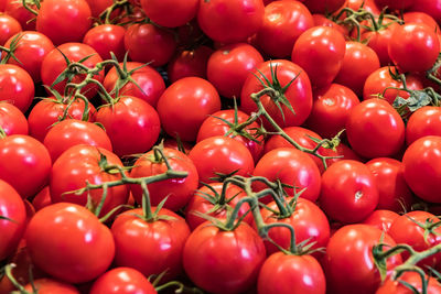 Red tomatoes in the market