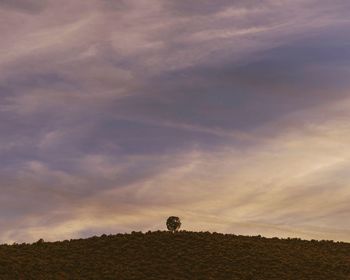 Silhouette field against sky during sunset