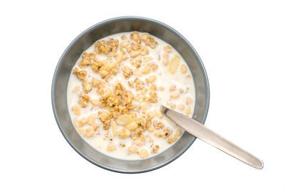 Directly above shot of food in bowl against white background