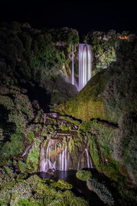 Scenic view of waterfall in forest