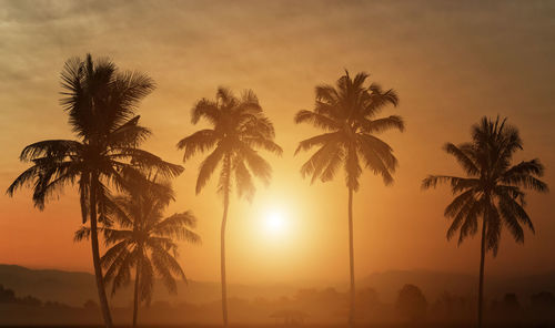 Silhouette palm trees against sky during sunset