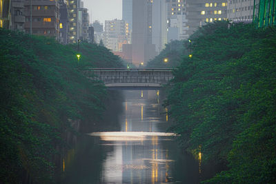 Illuminated bridge amidst trees and buildings in city