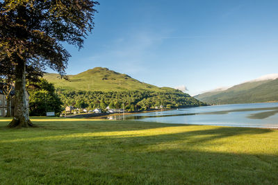 Scenic view of grassy field by lake against sky