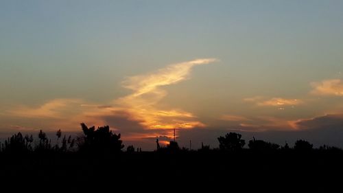 Silhouette trees on field against sky at sunset
