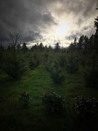 Scenic view of landscape against sky