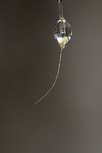 Close-up of object over white background