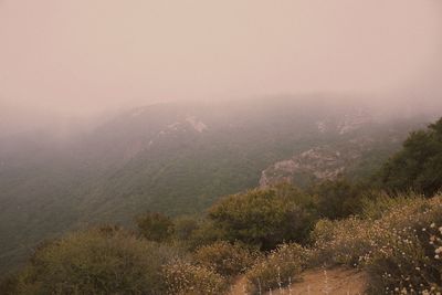 Scenic view of landscape against sky
