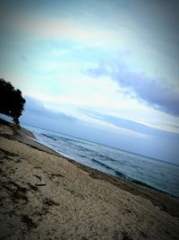 Scenic view of beach against sky