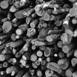 Full frame shot of logs