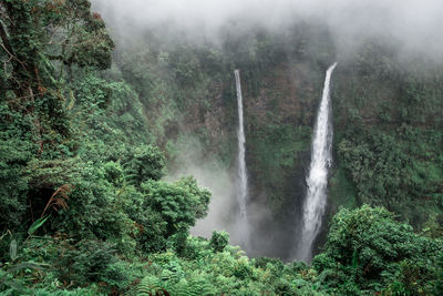 Scenic view of  tad fane waterfall in forest of laos