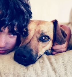 Close-up portrait of dog relaxing on man