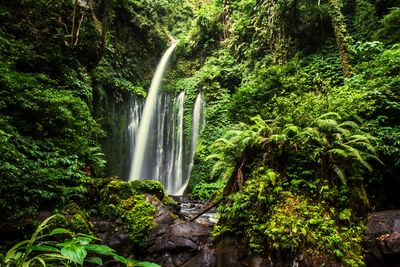 Scenic view of waterfall