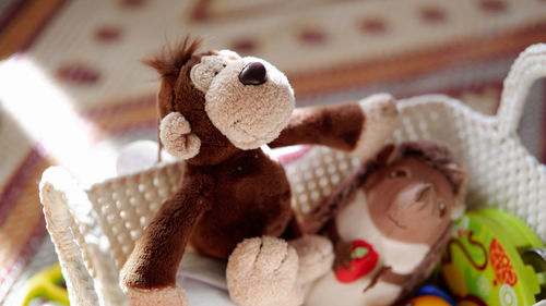 Close-up of stuffed toy