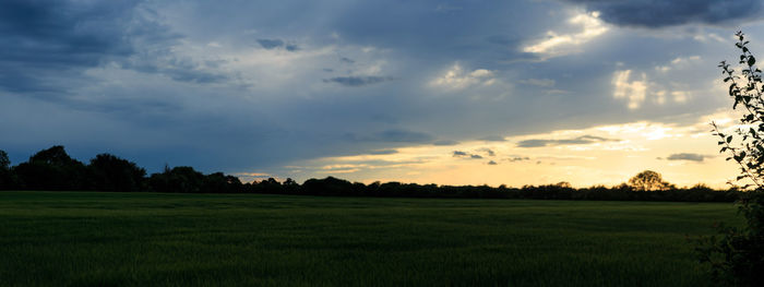 Scenic view of agricultural field against sky during sunset