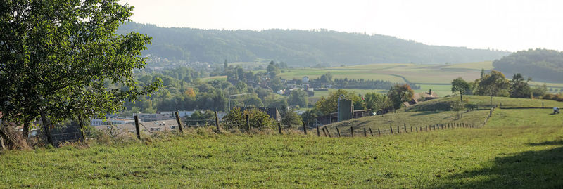 Scenic view of agricultural field against sky