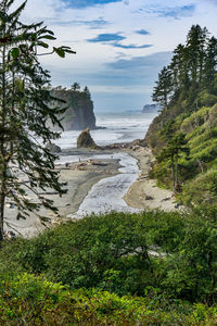 A landscape shot of scenic ruby beach in washington state.