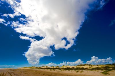 Scenic view of landscape against blue sky