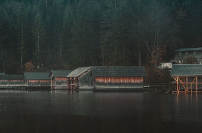 Scenic view of lake in forest