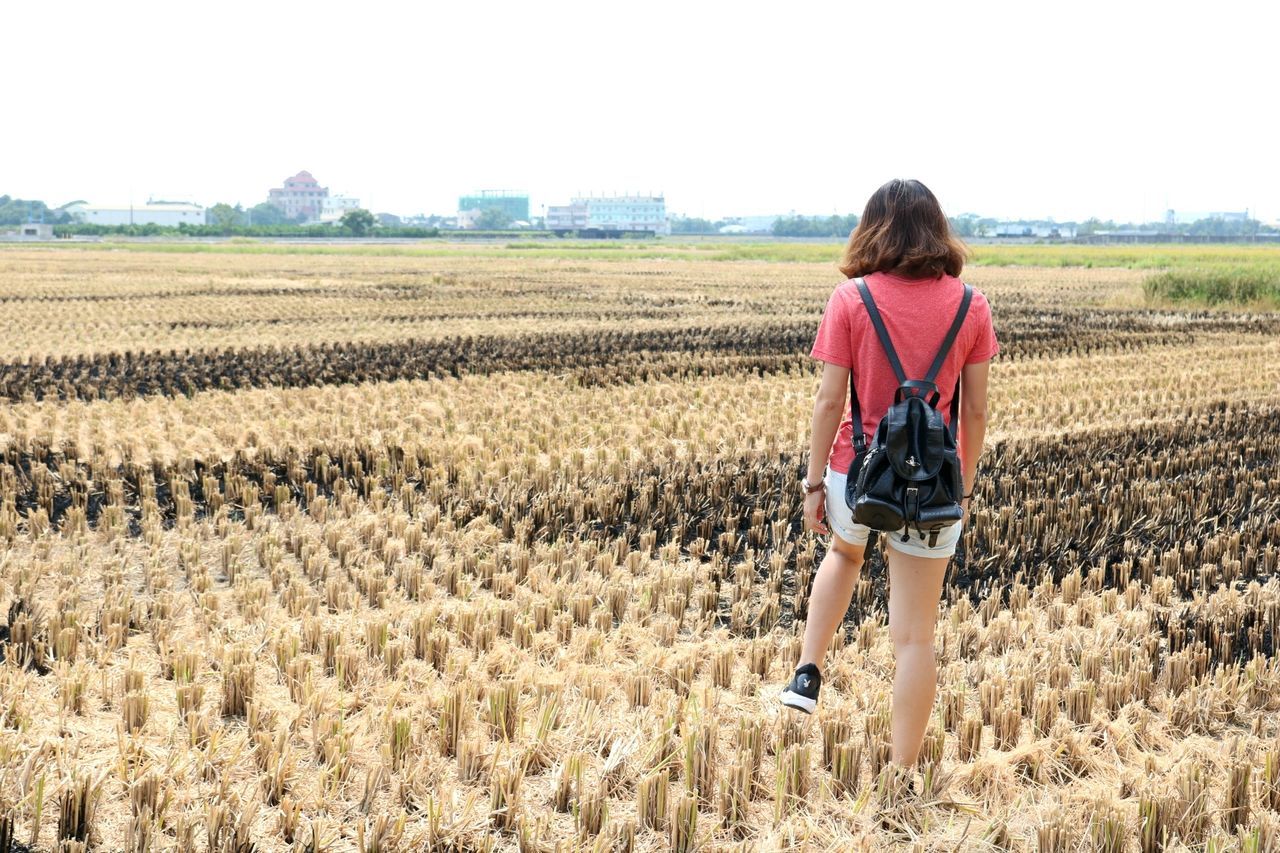 field, one person, rear view, agriculture, real people, standing, nature, day, young adult, casual clothing, rural scene, landscape, young women, women, outdoors, growth, beautiful woman, scenics, adult, beauty in nature, sky, one woman only, one young woman only, only women, adults only, people