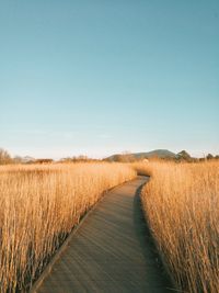 Dirt road passing through field against clear sky