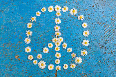 Peace symbol made up of daisy flowers