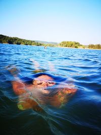 Woman swimming in sea against clear sky